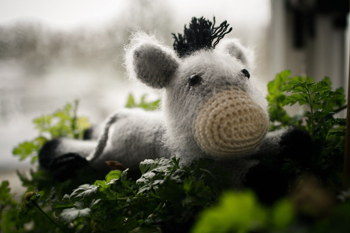 Eselchen Pepito / Häkelanleitung