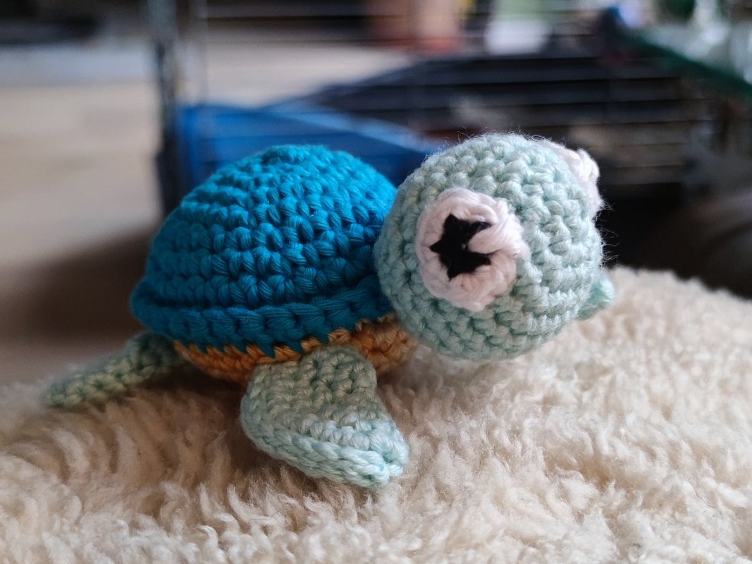 crochet pattern little turtle