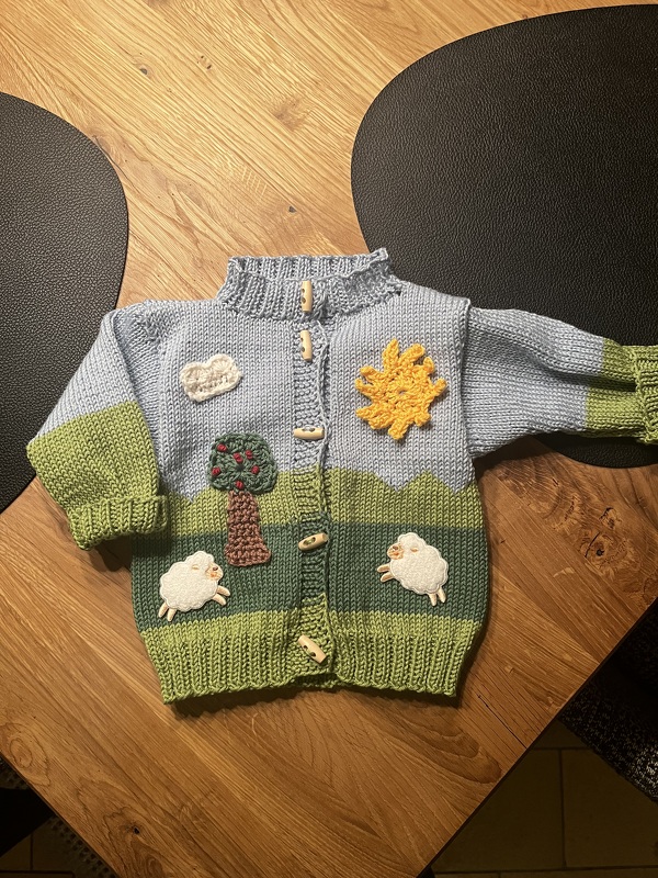 Sparpaket 4 Strickanleitungen Jacken
