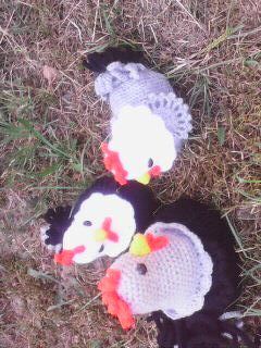 Der Hahn und die Hennen haben sich sehr gut häkeln lassen, war ja auch eine gute Anleitung. Danke und gerne wieder.