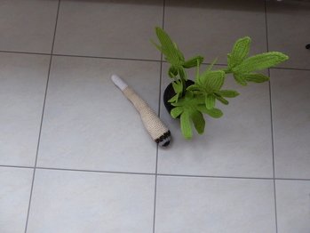 Anleitung super, hat gut geklappt. Die Grünpflanze dazu habe ich so 