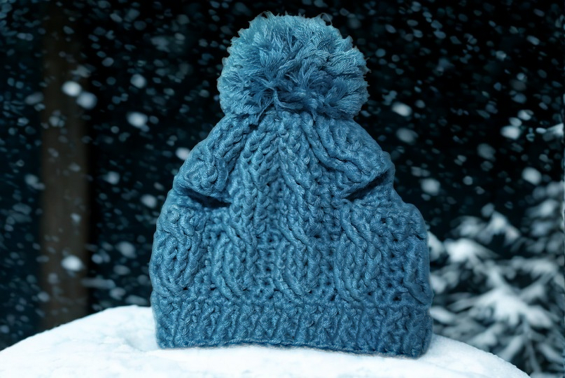 CUDDLEMEE&#039;s Kater Figo