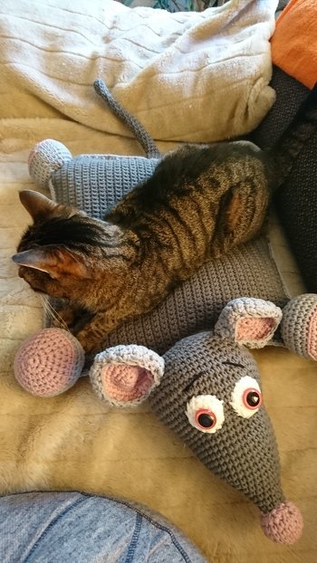 Eine tolle Anleitung, ging wunderbar nachzuarbeiten. Ich habe nur die Augen etwas verändert. Und wie man sieht, es wird geliebt :-)