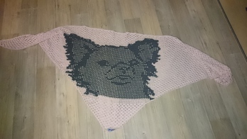 Das hat als Geschenk richtig rein gehauen 😘