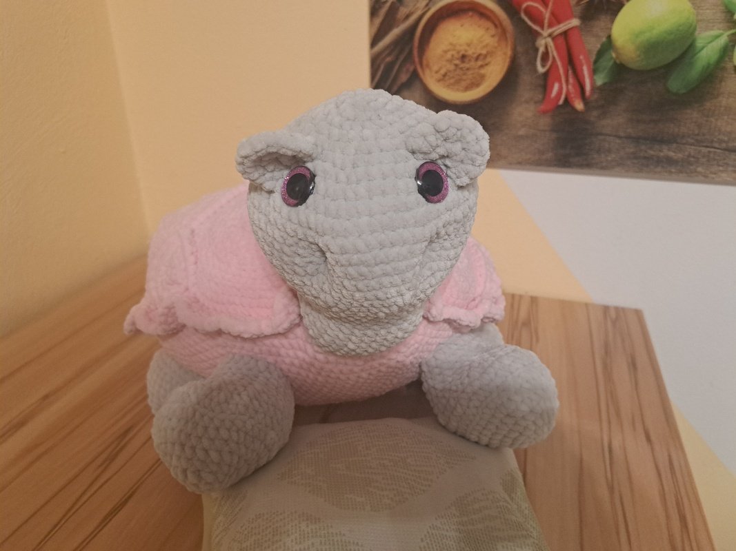 Pattern Turtle Paulina