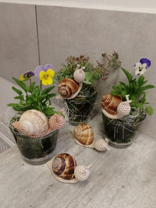 Sparset 9 tlg Mini Pilze Fliegenpilz Steinpilz lange Pilze Schnecken Herbst