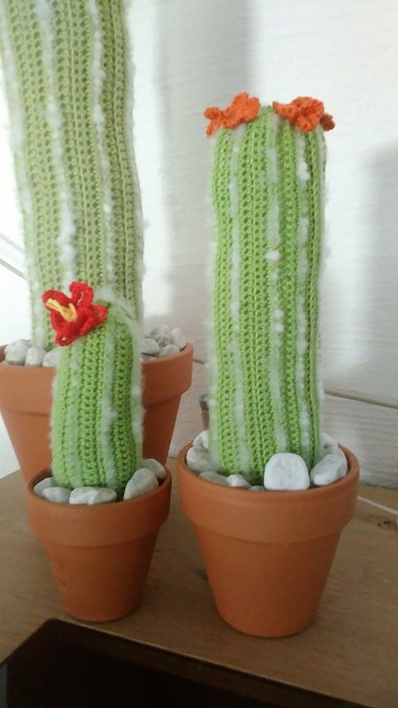 Häkelanleitung - Kaktus Epiphyllum