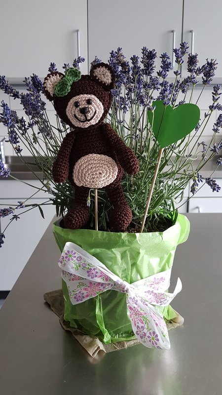 Süße Bärchen mit Blumen häkeln