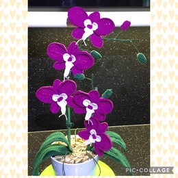 Nach meiner weißen Orchidee mußte ich noch eine in Erika-Farbe häkeln.
Ist zwar viel Kleinarbeit aber das lohnt sich.
Wieder eine besondere Dekoration.