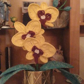Sehr schöne Orchidee und sehr gut beschrieben - ich bin begeistert und hab schon fleißig gehäkelt...