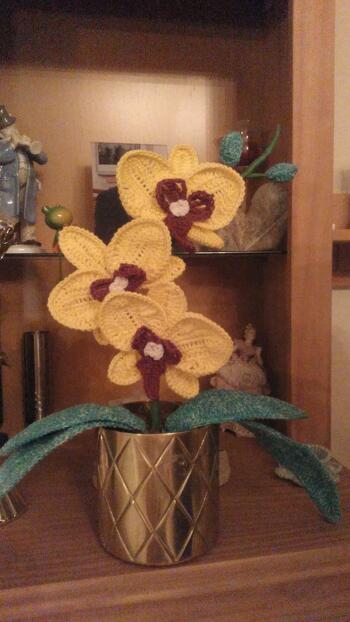 Sehr schöne Orchidee und sehr gut beschrieben - ich bin begeistert und hab schon fleißig gehäkelt...