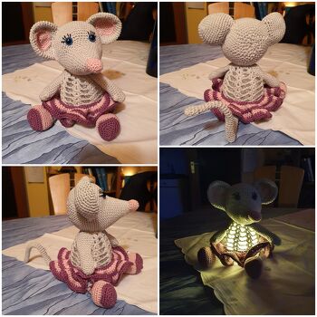 Eine mega tolle, gut verständliche Anleitung zu einem guten, fairen Preis.
Bei mir ist aus der Anleitung eine Mauslampe zum Leben erwacht......