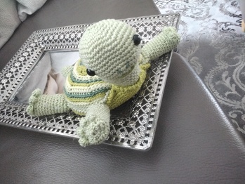 Sehr verständliche Anleitung. Die Schildkröte wird heiß und innig geliebt.