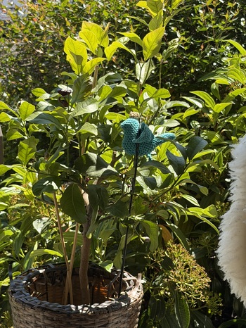 Schnell gehäkelt und ein Blickfang im Garten.