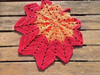 Ich habe versehentlich eine Zacke zu viel gehäkelt, sieht aber trotzdem toll aus, vor allem mit 2 Farben.