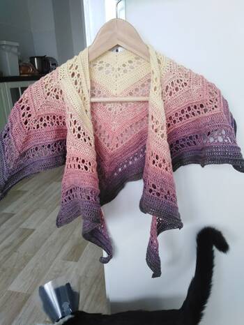 die Anleitung ist super und das Häkeln dieses Tuches hat mir sehr viel Spaß gemacht