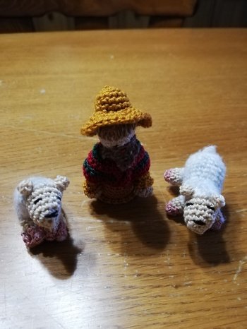 Die Schafe hab ich nicht so hingebracht. Vielleicht lag es auch an der Wolle.