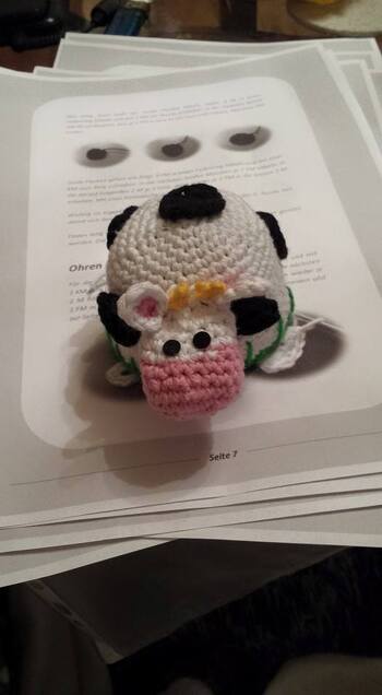 Einfache und verständliche Anleitung,