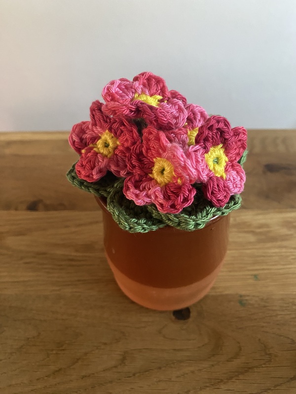Crochet pattern primrose