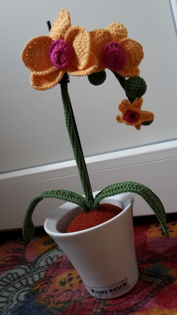 Diese Orchidee hat meine Mama zum Geburtstag bekommen! Nie gießen und nie verblüht :)
Anleitung ist super einfach und verständlich!