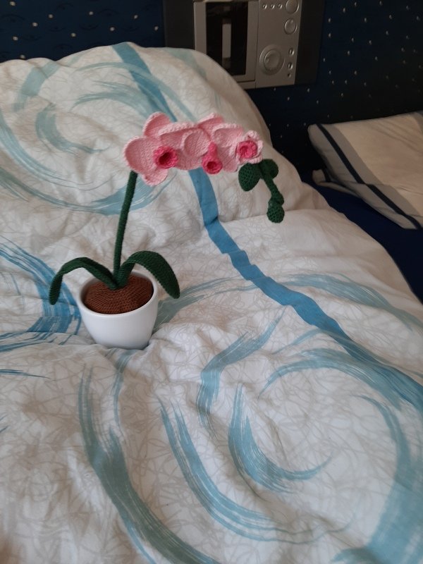 Häkelanleitung Orchidee