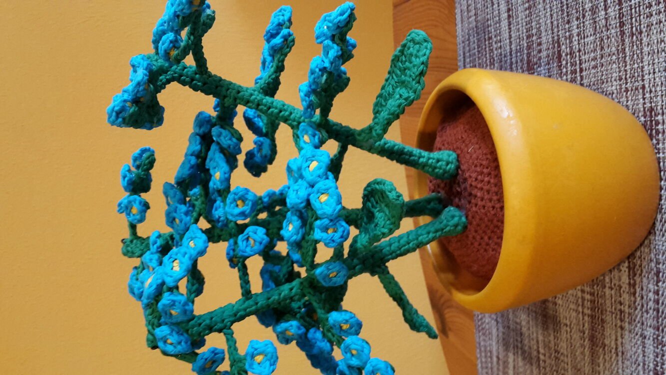Crochet pattern Forget-Me-Not