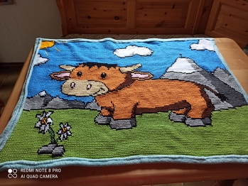 Meine 4. Decke in dieser Art und es macht immer noch Spass so zu häkeln.