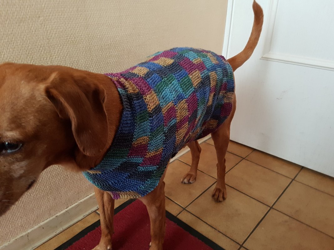 Strickanleitung Hundepullover