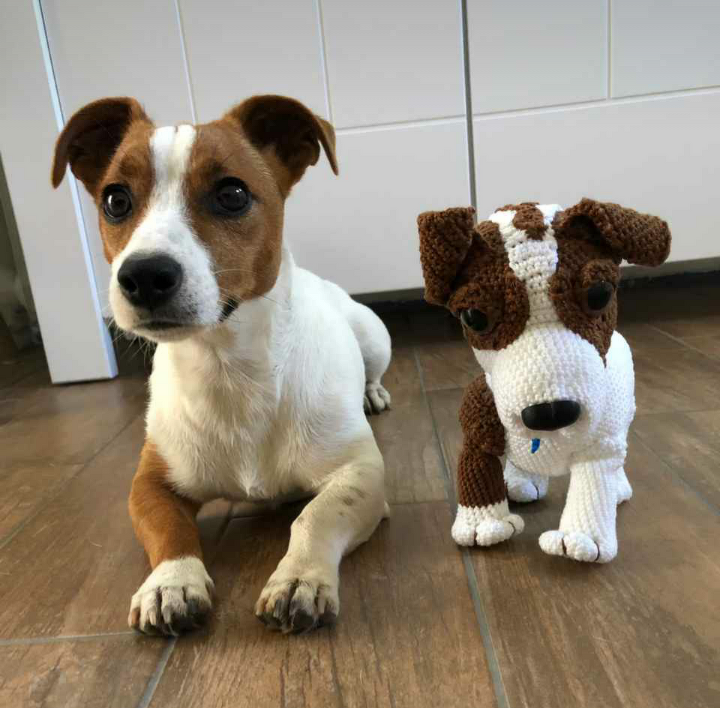 Jack Russel Sina Häkelanleitung in deutsch