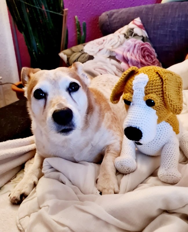 Jack Russel Sina Häkelanleitung in deutsch