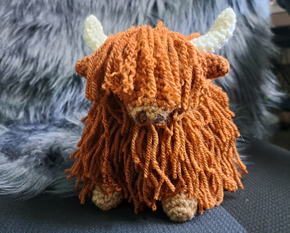 Highland Kuh / Schottisches Hochlandrind