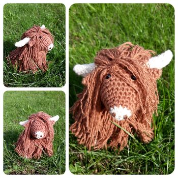 Hat alles gut geklappt . Das Hochlandrind  sieht echt süss aus .