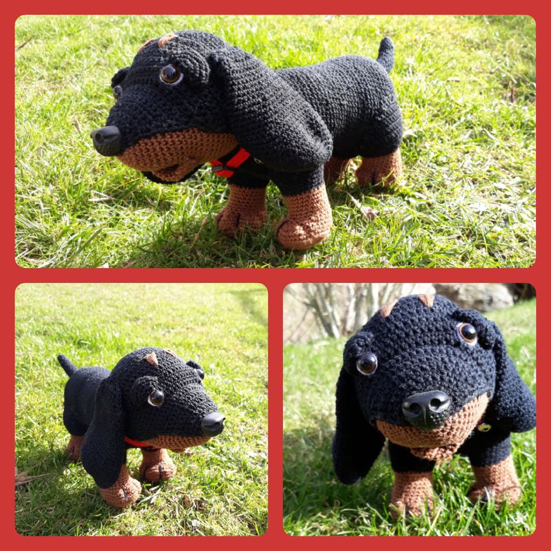 Dachshund Boni Pattern Amigurumi