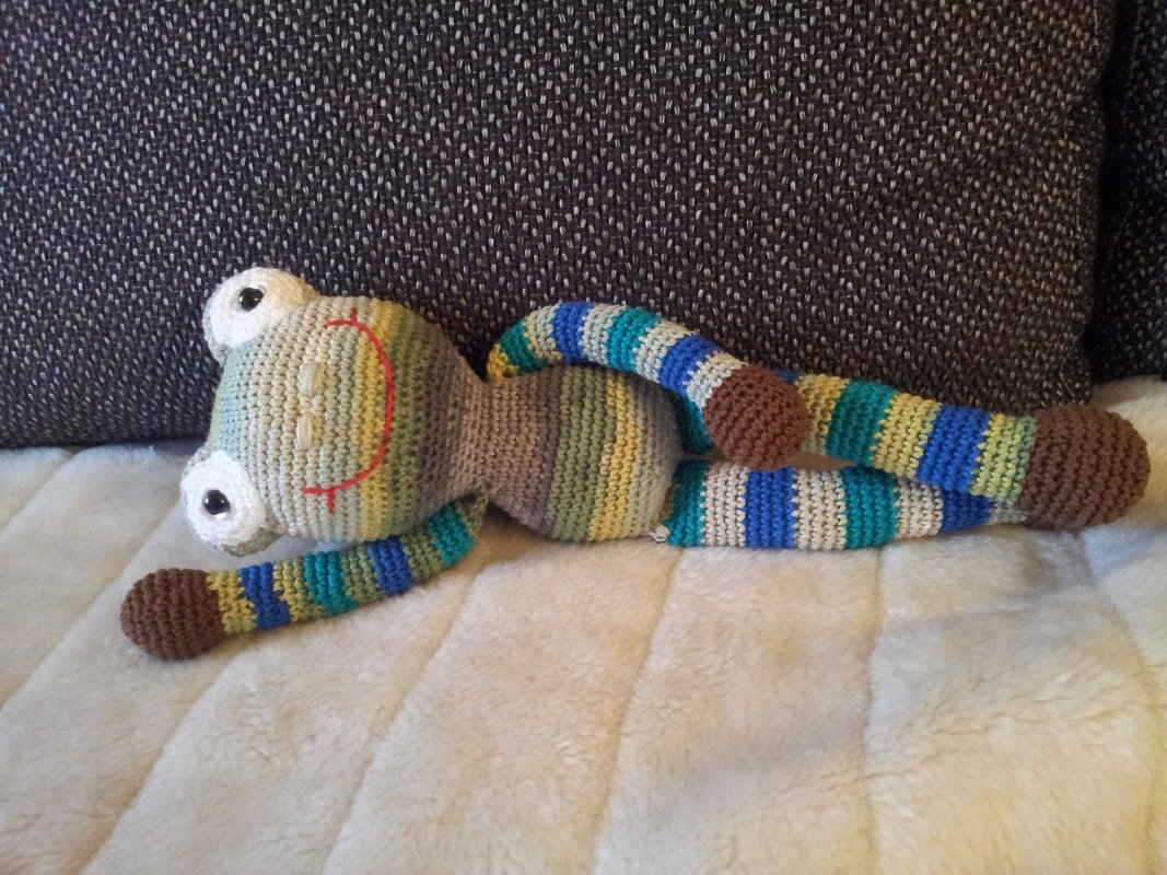 Schön-Wetter-Frosch Fridolin