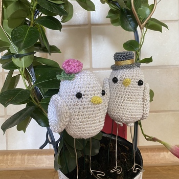 Gudi & Lothar ❤️ Goldene Hochzeit Geldgeschenk in Blume