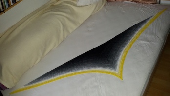 Hab nach Häkelschrift gearbeitet, das ging super, hab mich für die flache Version (mit 3Stb statt 2Stb als Zunahmen) entschieden - toll