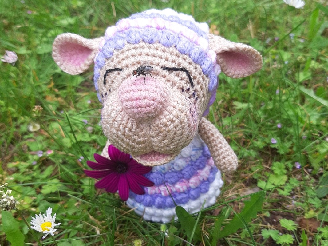 Crochet Pattern &quot;Lennard&quot; The Chubby Sheep