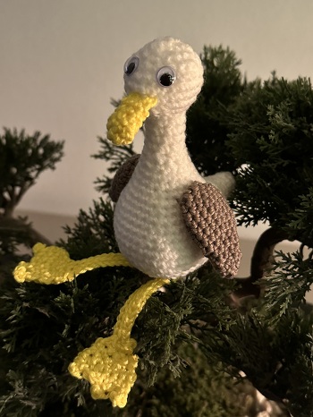 Das ging wirklich schnell, Smilla-Lotta wird nicht lange allein bleiben müssen!