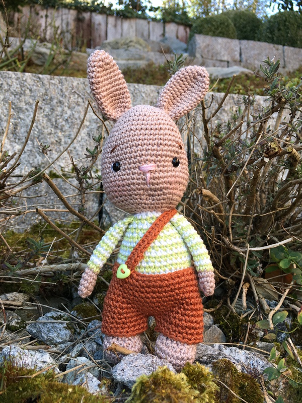 Häkelanleitung bunny Pumpkin