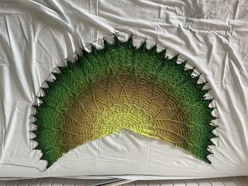 Ich habe die kurze Variante gemacht mit Key Lime Pi (Scheepijs). Anleitung bei Ravelry gekauft,