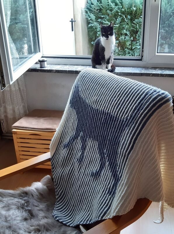 Katzentuch Illusionsstricken