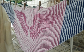 rosa wings mit blauem Himmel umrahmt