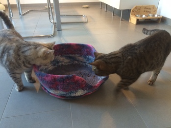 Sie sind schon mal interessiert