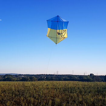 Ich habe die Taube in groß auf einen Drachen genäht.