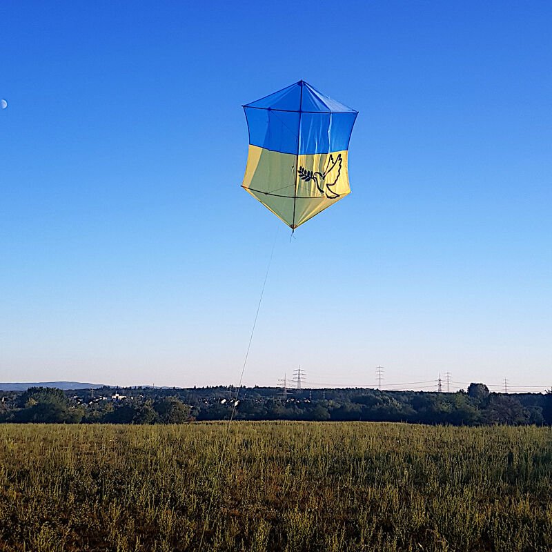 Taube mit Zweig Plotterdatei SVG DXF FCM