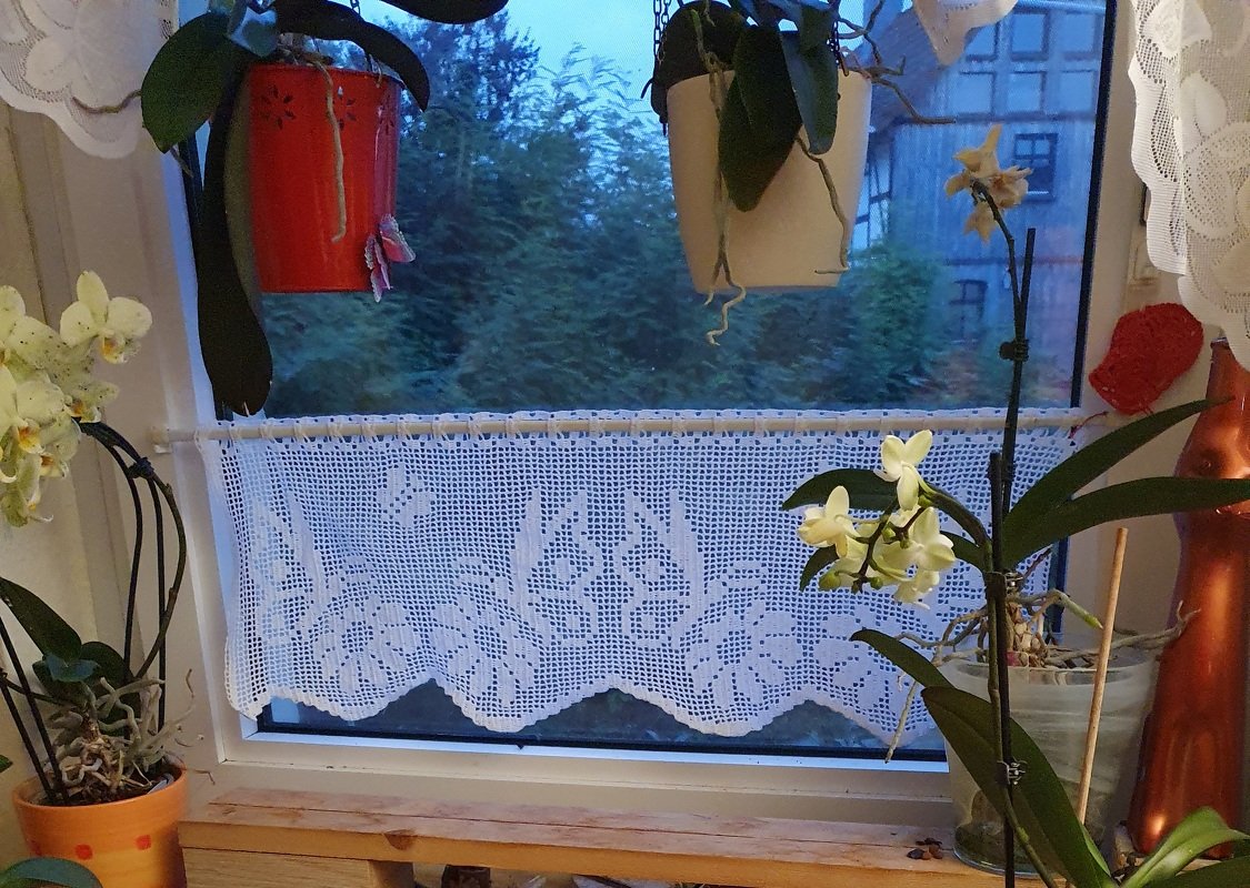 Kleine Gardine Schmetterlinge – Frühlingskollektion