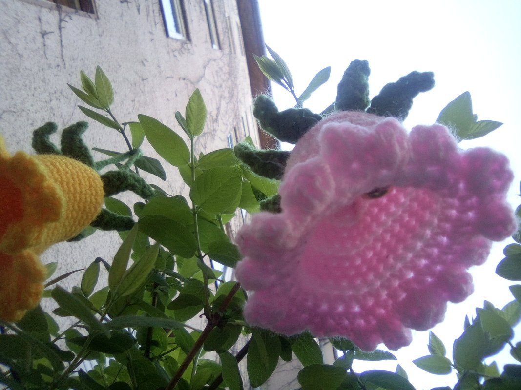 Häkelanleitung - Strauchblüten - zwei Größen