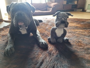 Hat sehr viel Spaß gemacht 😊