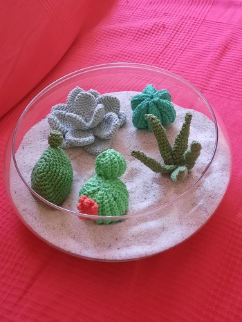 Die Kakteen schmücken jetzt mein Fensterbrett. 🌼 Danke für die schöne Anleitung.