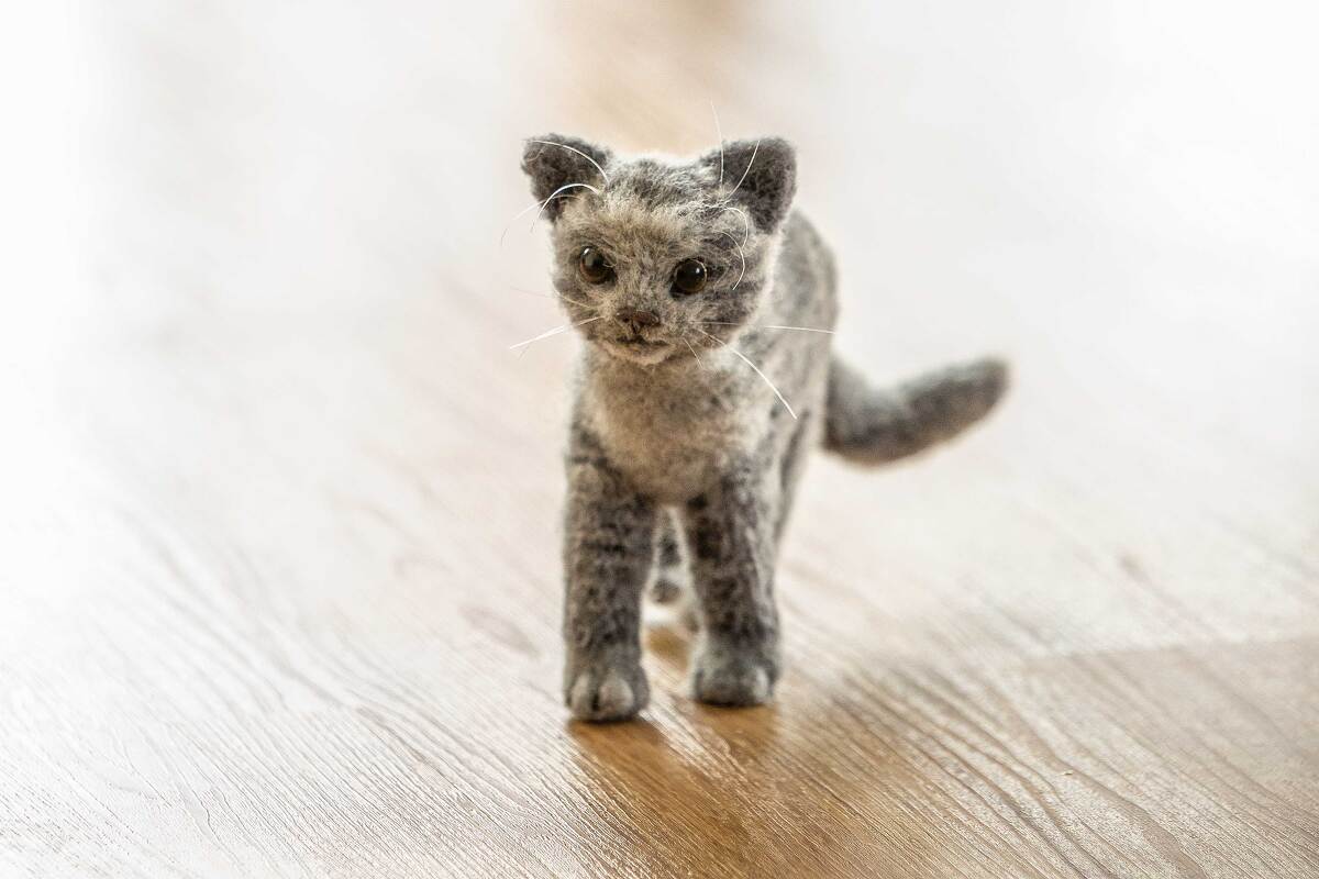 realistic cat - crochet pattern by NiggyArts